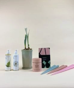 Catkin & Pussywillow Happy Space Valentines Gift Combination L