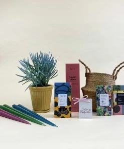 Catkin & Pussywillow Good Vibes Valentines Gift Hamper S 9 Catkin & Pussywillow Good Vibes Valentines Gift Hamper S