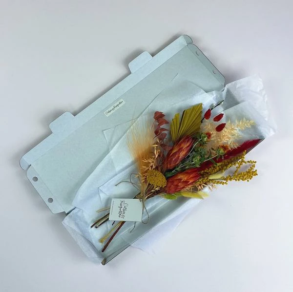 Catkin & Pussywillow Autumnal Dried Flower Stems Letterbox 3 Catkin & Pussywillow Autumnal Dried Flower Stems Letterbox