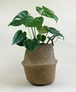 Catkin & Pussywillow Good Vibes Valentines Gift Hamper L 10 Catkin & Pussywillow Good Vibes Valentines Gift Hamper L