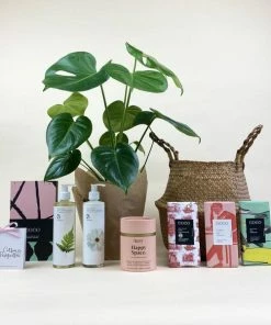 Catkin & Pussywillow Happy Space Valentines Gift Hamper M