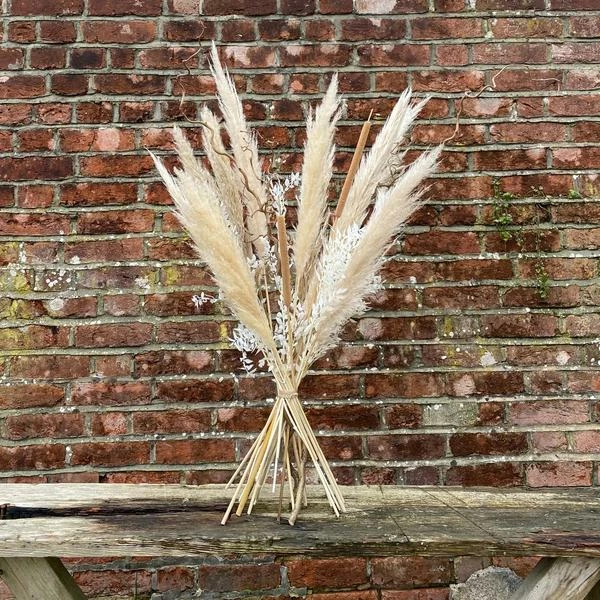 Catkin & Pussywillow Tall Arrangement Bleached Dried Flowers 3 Catkin & Pussywillow Tall Arrangement Bleached Dried Flowers