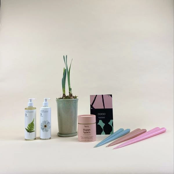 Catkin & Pussywillow Happy Space Valentines Gift Combination L 5 Catkin & Pussywillow Happy Space Valentines Gift Combination L