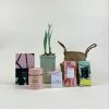 Catkin & Pussywillow Happy Space Valentines Gift Hamper S