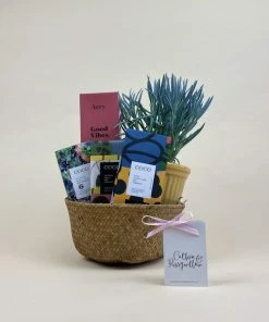 Catkin & Pussywillow Good Vibes Valentines Gift Hamper S