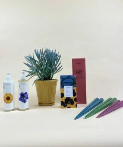 Catkin & Pussywillow Good Vibes Valentines Gift Combination L