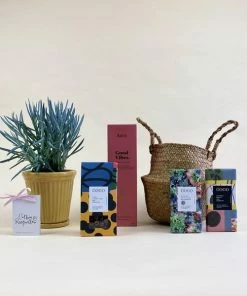 Catkin & Pussywillow Good Vibes Valentines Gift Hamper S