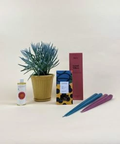 Catkin & Pussywillow Good Vibes Valentines Gift Combination M