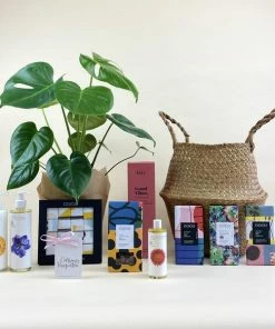 Catkin & Pussywillow Good Vibes Valentines Gift Hamper L