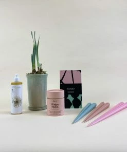 Catkin & Pussywillow Happy Space Valentines Gift Combination M