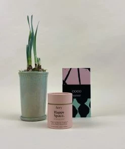 Stella Nova Sales Store 8 Catkin & Pussywillow Happy Space Valentines Gift Combination S