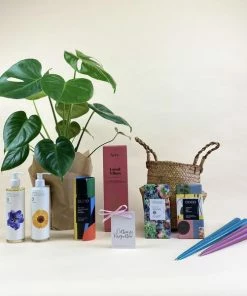 Catkin & Pussywillow Good Vibes Valentines Gift Hamper M
