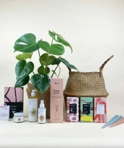 Catkin & Pussywillow Happy Space Valentines Gift Hamper L