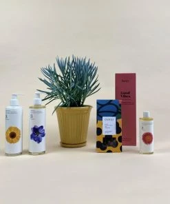 Catkin & Pussywillow Good Vibes Valentines Gift Combination Xl