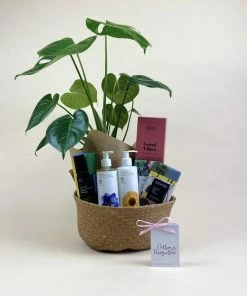 Catkin & Pussywillow Good Vibes Valentines Gift Hamper M