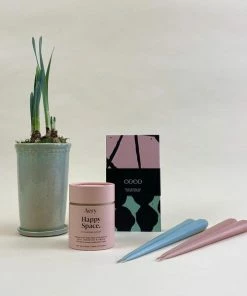 Catkin & Pussywillow Happy Space Valentines Gift Combination S