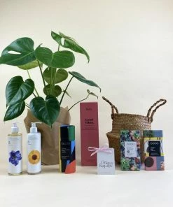 Catkin & Pussywillow Good Vibes Valentines Gift Hamper M