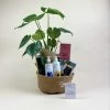 Catkin & Pussywillow Good Vibes Valentines Gift Hamper M