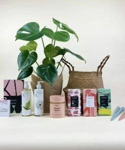 Catkin & Pussywillow Happy Space Valentines Gift Hamper M