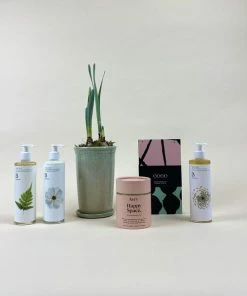 Catkin & Pussywillow Happy Space Valentines Gift Combination Xl