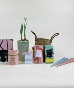 Catkin & Pussywillow Happy Space Valentines Gift Hamper S