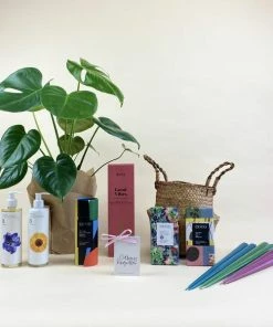 Catkin & Pussywillow Good Vibes Valentines Gift Hamper M