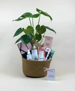 Catkin & Pussywillow Happy Space Valentines Gift Hamper L