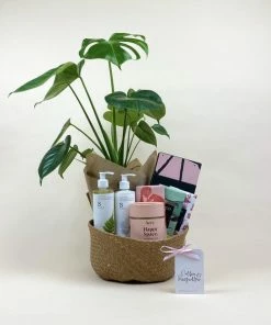 Catkin & Pussywillow Happy Space Valentines Gift Hamper M
