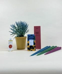 Catkin & Pussywillow Good Vibes Valentines Gift Combination M