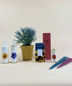 Catkin & Pussywillow Good Vibes Valentines Gift Combination Xl