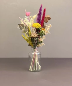 Catkin & Pussywillow Autumnal Dried Mixed Dried Flowers Jar