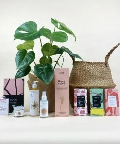 Catkin & Pussywillow Happy Space Valentines Gift Hamper L