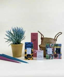Catkin & Pussywillow Good Vibes Valentines Gift Hamper S