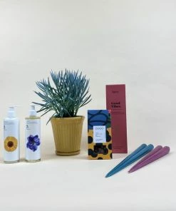 Catkin & Pussywillow Good Vibes Valentines Gift Combination L