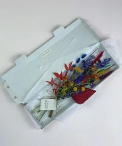 Catkin & Pussywillow Dried Letter Box Stems