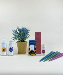 Catkin & Pussywillow Good Vibes Valentines Gift Combination Xl