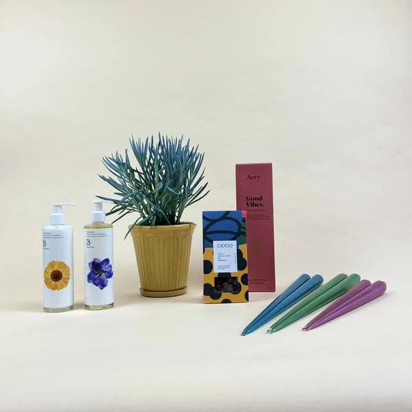 Catkin & Pussywillow Good Vibes Valentines Gift Combination L 5 Catkin & Pussywillow Good Vibes Valentines Gift Combination L