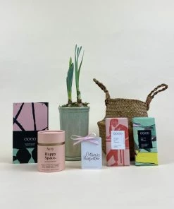 Catkin & Pussywillow Happy Space Valentines Gift Hamper S