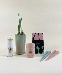 Catkin & Pussywillow Happy Space Valentines Gift Combination M