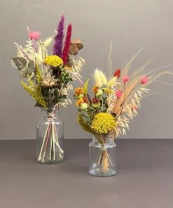 Catkin & Pussywillow Autumnal Dried Flowers Mixed Dried Flower Duo Jar Set