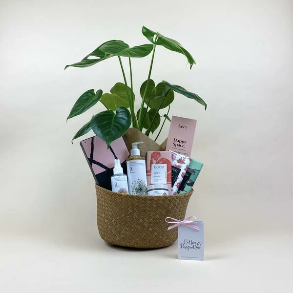 Catkin & Pussywillow Happy Space Valentines Gift Hamper L 6 Catkin & Pussywillow Happy Space Valentines Gift Hamper L