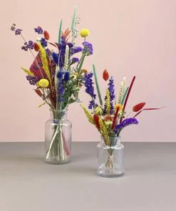 Catkin & Pussywillow Dried Flower Duo Jar Set