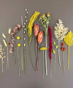 Catkin & Pussywillow Small Autumnal Mixed Dried Flower Bouquet