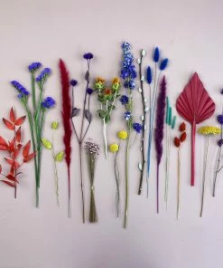 Catkin & Pussywillow Rainbow and Mixed Dried Flowers Bouquet